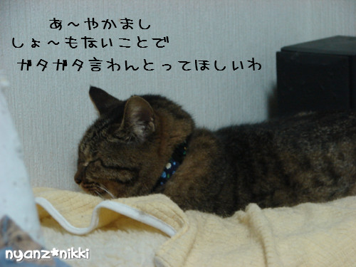 ご飯3粒の恨み_d0355333_14123808.jpeg