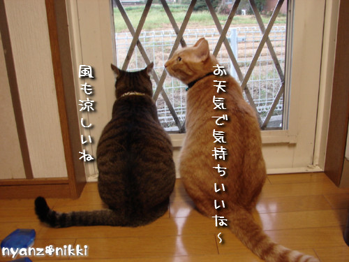 右向き左向き、どっち?_d0355333_14124530.jpeg