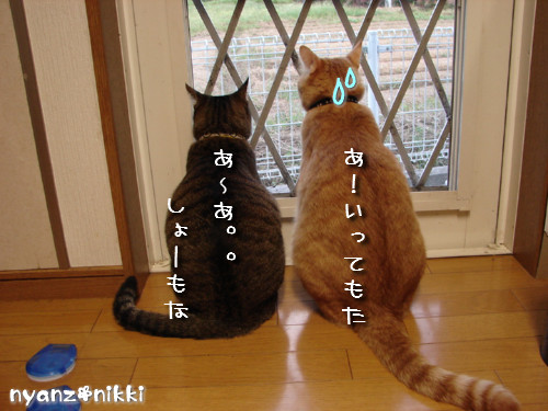 右向き左向き、どっち?_d0355333_14124627.jpeg