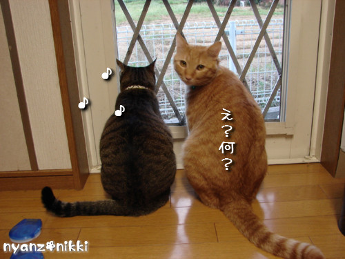 右向き左向き、どっち?_d0355333_14124628.jpeg