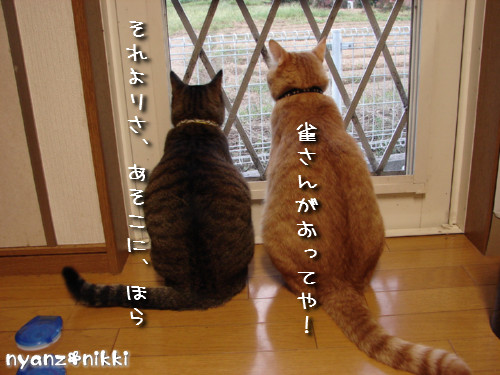 右向き左向き、どっち?_d0355333_14124642.jpeg