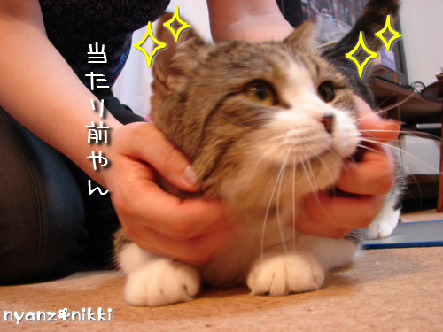ハワイのお土産?!_d0355333_14125069.jpeg