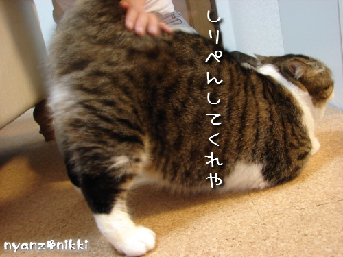 ハワイのお土産?!_d0355333_14125128.jpeg