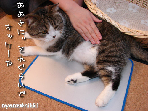 ハワイのお土産?!_d0355333_14125159.jpeg