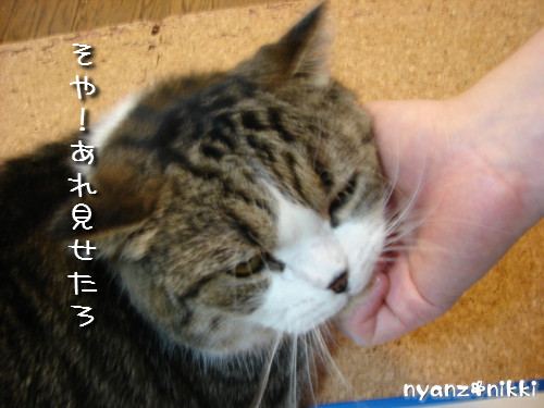 ハワイのお土産?!_d0355333_14125227.jpeg