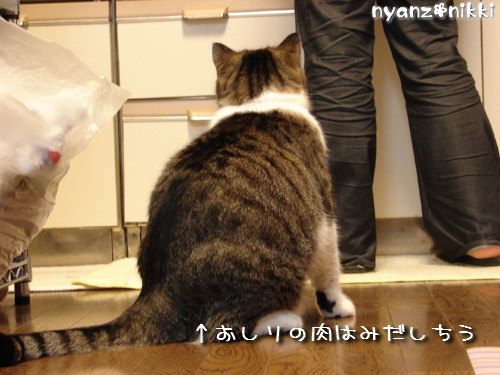 許せてしまう・・・_d0355333_14125303.jpeg
