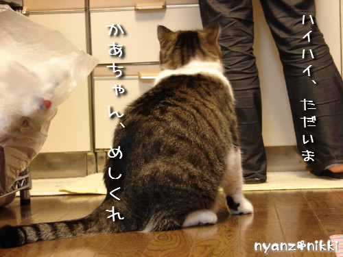 許せてしまう・・・_d0355333_14125474.jpeg