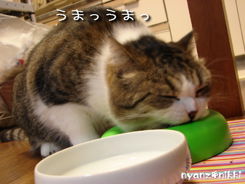 許せてしまう・・・_d0355333_14125498.jpeg