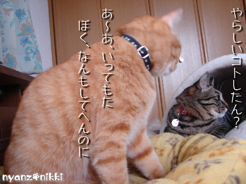 世話好きが仇となる?_d0355333_14130246.jpeg