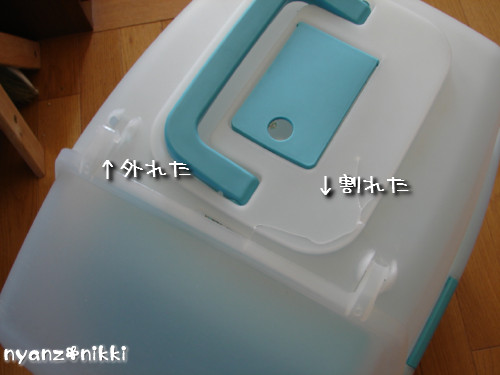 自損事故?_d0355333_14130408.jpeg