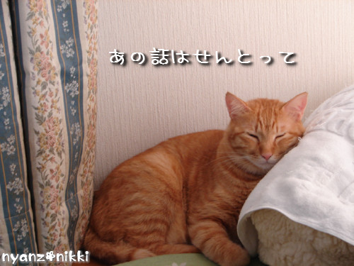 自損事故?_d0355333_14130425.jpeg