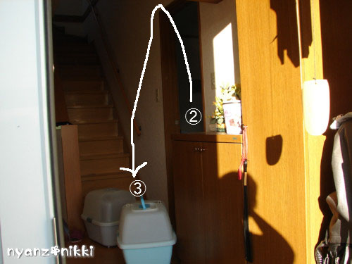 自損事故?_d0355333_14130433.jpeg