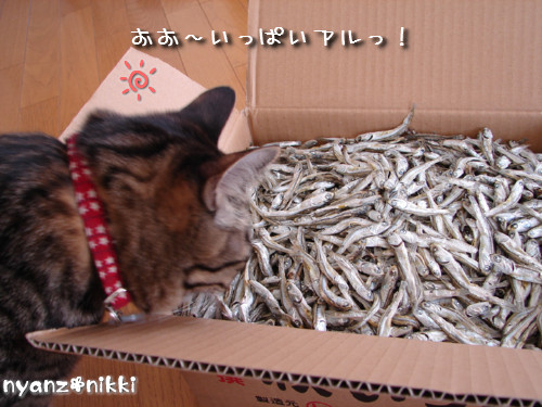モンちゃんとの時間_d0355333_14130587.jpeg