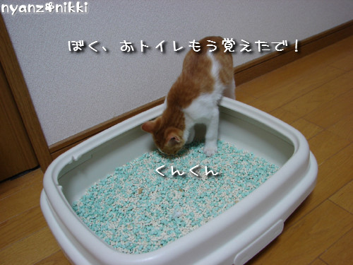 白状しまーす ^^_d0355333_14131405.jpeg
