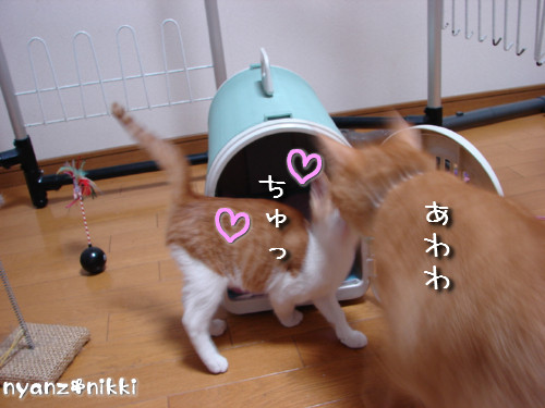白状しまーす ^^_d0355333_14131507.jpeg