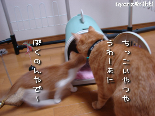 白状しまーす ^^_d0355333_14131519.jpeg
