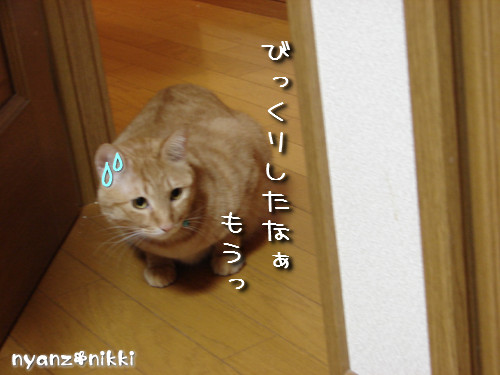 白状しまーす ^^_d0355333_14131543.jpeg
