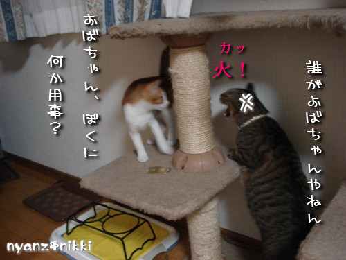 つくつく★リビングデビュー_d0355333_14131607.jpeg