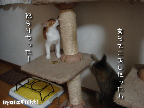 つくつく★リビングデビュー_d0355333_14131678.jpeg