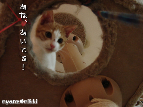 つくつく★タワー制覇_d0355333_14131814.jpeg