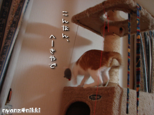 つくつく★タワー制覇_d0355333_14131853.jpeg