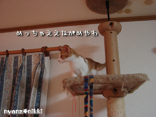 つくつく★タワー制覇_d0355333_14131877.jpeg
