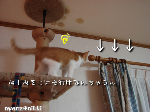 つくつく★タワー制覇_d0355333_14131892.jpeg