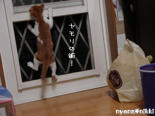 つくつく★新技紹介_d0355333_14131955.jpeg