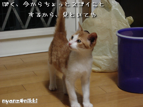 つくつく★新技紹介_d0355333_14131978.jpeg