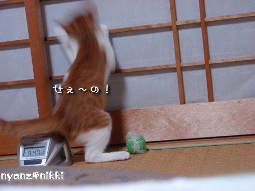 つくつく★新技紹介_d0355333_14132008.jpeg