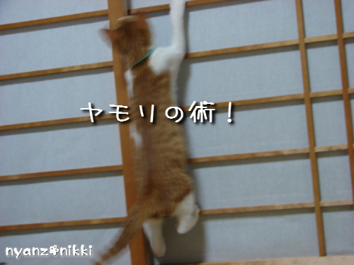 つくつく★新技紹介_d0355333_14132053.jpeg