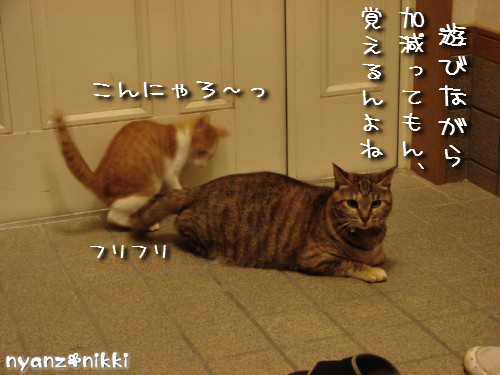 つくつく★勉強ちう_d0355333_14132115.jpeg