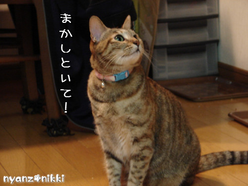 つくつく★勉強ちう_d0355333_14132143.jpeg