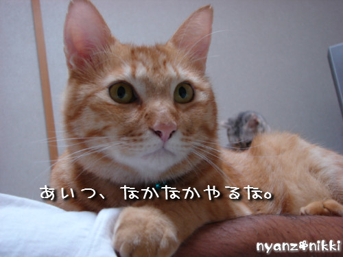 つくつく★新技紹介_d0355333_14132164.jpeg