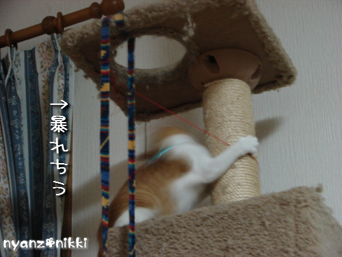 つくつく★ララちゃんは心配性_d0355333_14132203.jpeg