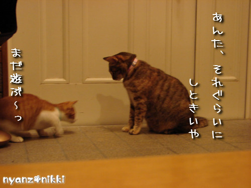 つくつく★勉強ちう_d0355333_14132224.jpeg