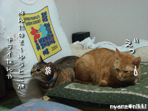 つくつく★ララちゃんは心配性_d0355333_14132239.jpeg