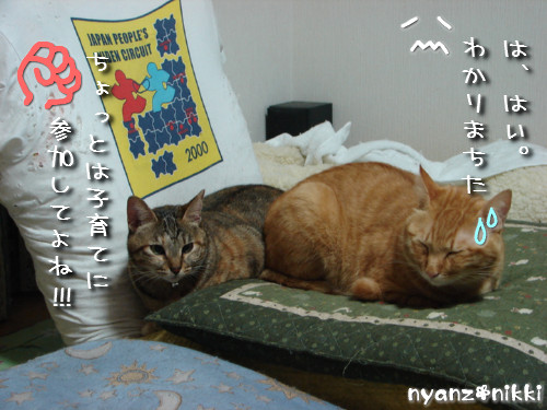 つくつく★ララちゃんは心配性_d0355333_14132275.jpeg