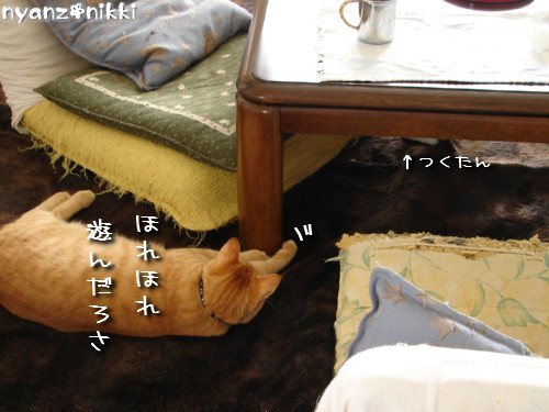 つくつく★ララちゃんは心配性_d0355333_14132333.jpeg