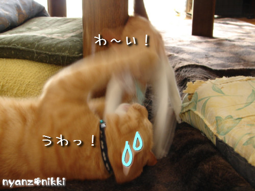 つくつく★ララたんやっぱり心配性_d0355333_14132339.jpeg