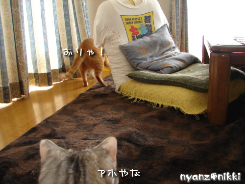 つくつく★ララたんやっぱり心配性_d0355333_14132358.jpeg