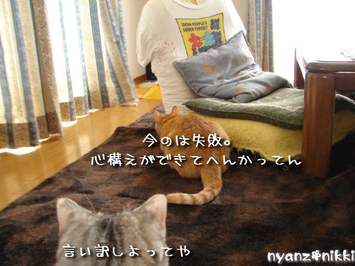つくつく★ララたんやっぱり心配性_d0355333_14132374.jpeg