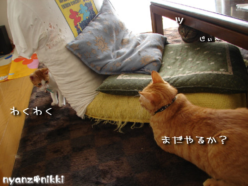 つくつく★ララたんやっぱり心配性_d0355333_14132400.jpeg