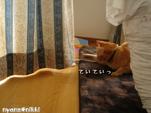つくつく★ララたんやっぱり心配性_d0355333_14132433.jpeg