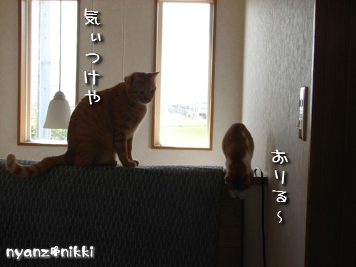 つくつく★男の教育方法_d0355333_14132524.jpeg