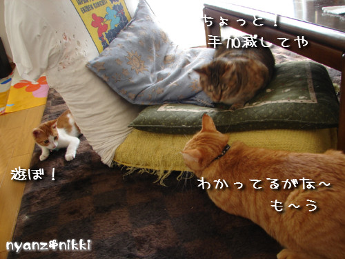 つくつく★ララたんやっぱり心配性_d0355333_14132572.jpeg