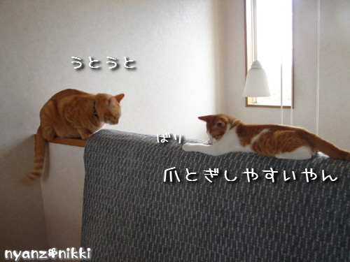 つくつく★男の教育方法_d0355333_14132645.jpeg