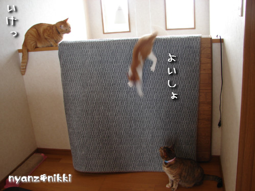 つくつく★男の教育方法_d0355333_14132681.jpeg