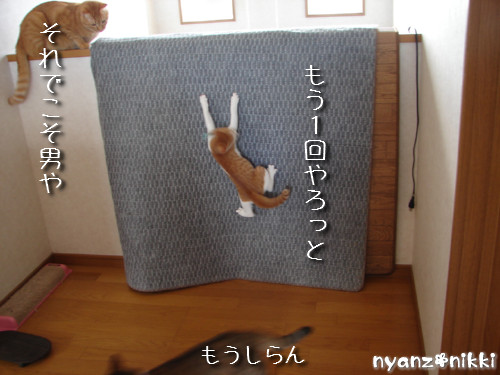 つくつく★男の教育方法_d0355333_14132686.jpeg