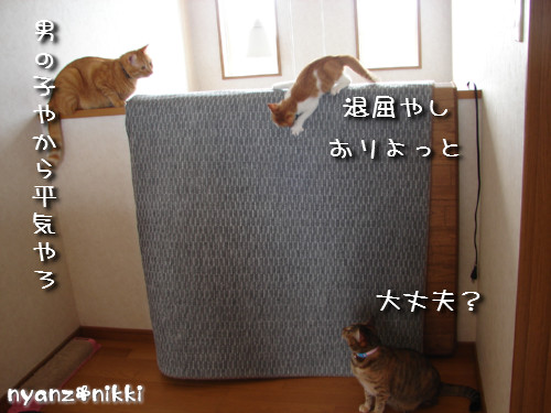 つくつく★男の教育方法_d0355333_14132688.jpeg